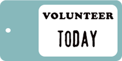 Volunteer Today